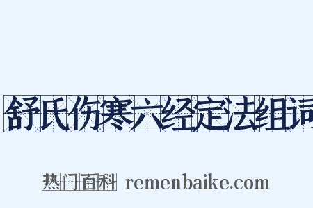 舒氏伤寒六经定法组词是什么意思的图片